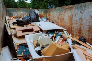 Hoarding Cleanup 